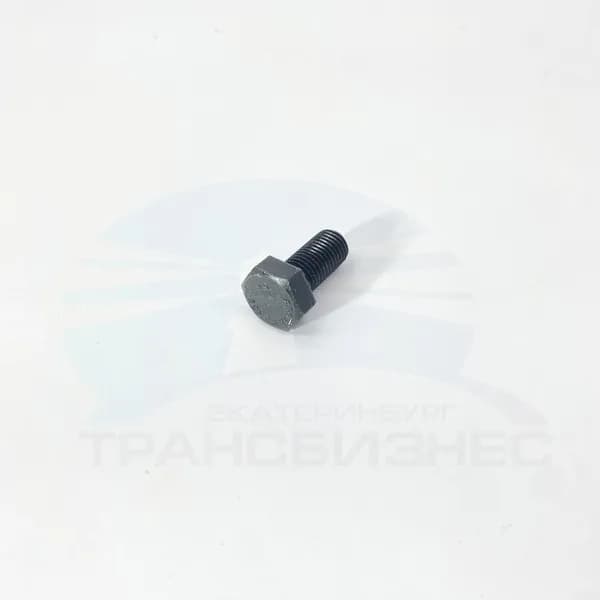 Болт маховика ТАТА 613 E2 E3 (3129900301)