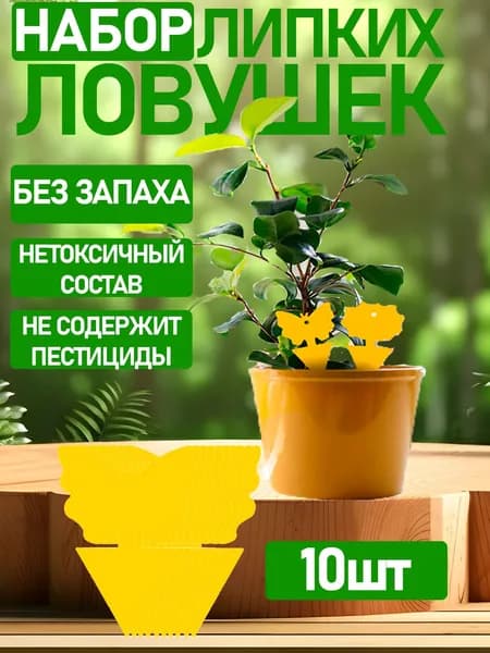 10 шт. Клеевая ловушка для комнатных растений и деревьев. бабочка