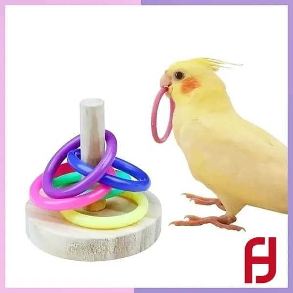 Игрушки для птиц, Интерактивная игрушка с кольцом попугая