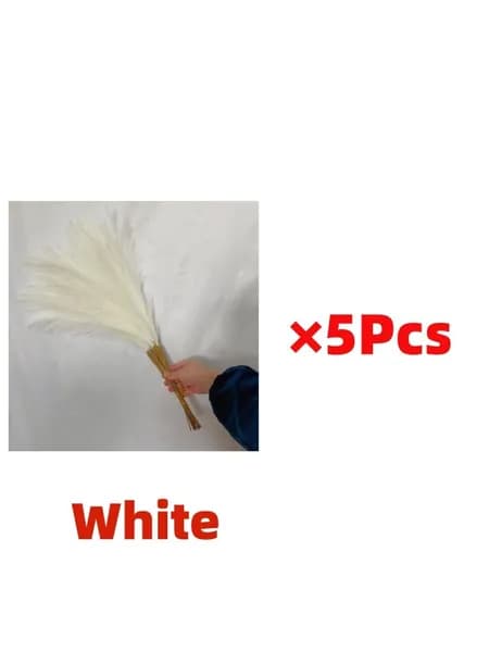 Сухоцветы Анемона, 10 см, 30 гр, 5 шт