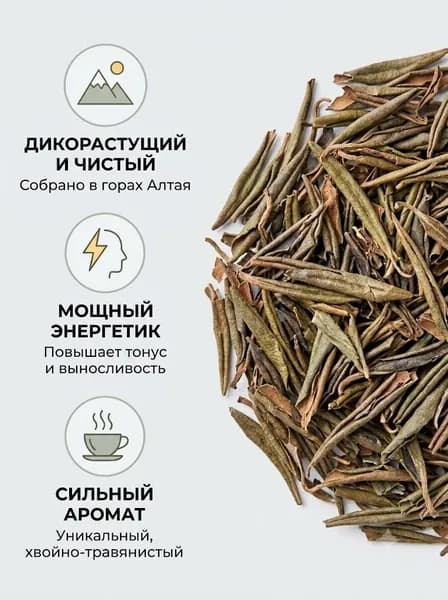 100% Сагандаяля - Концентрат природной энергии (50 грамм)
