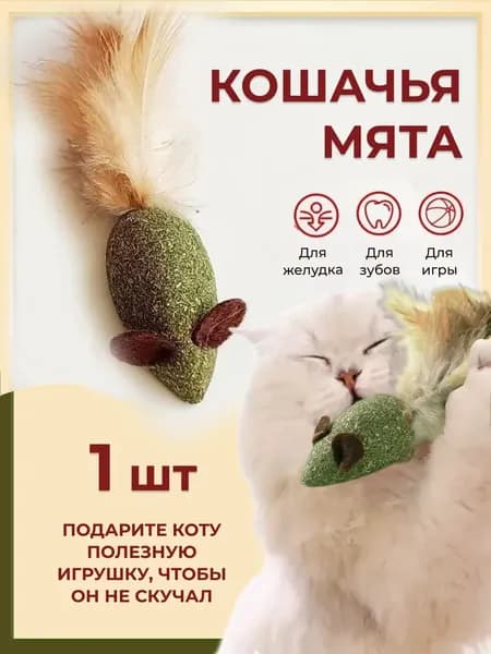 Кошачья мята, шарик мышка