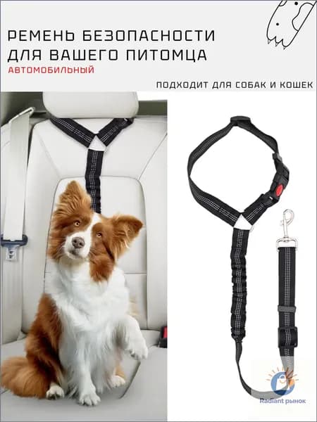 Ремень безопасности для животных
