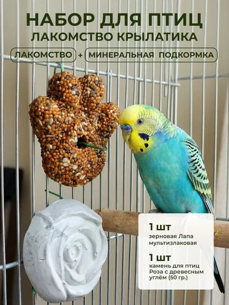 Лакомство для птиц