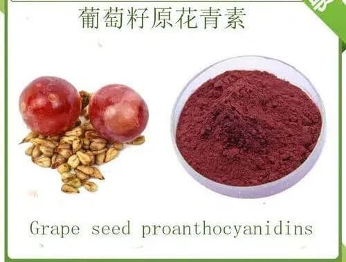 Проантоцианидины OPC, порошок экстракта косточек красного винограда ( Grape Seed Extract ) 100 г