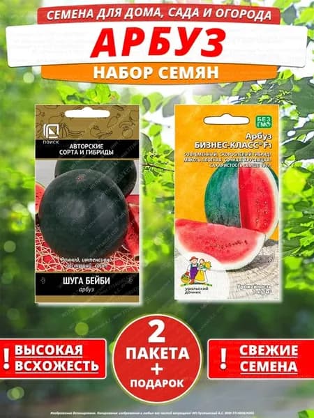 Семена арбуз для дома сада посадки