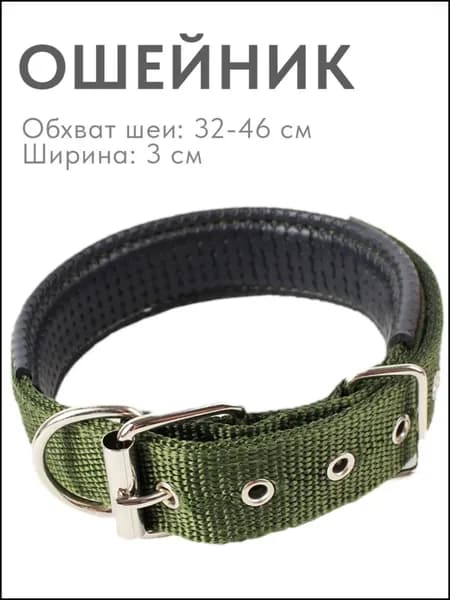 Ошейник