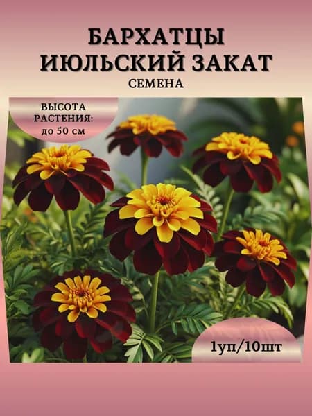 Бархатцы "Июльский Закат" семена, 1 пачка