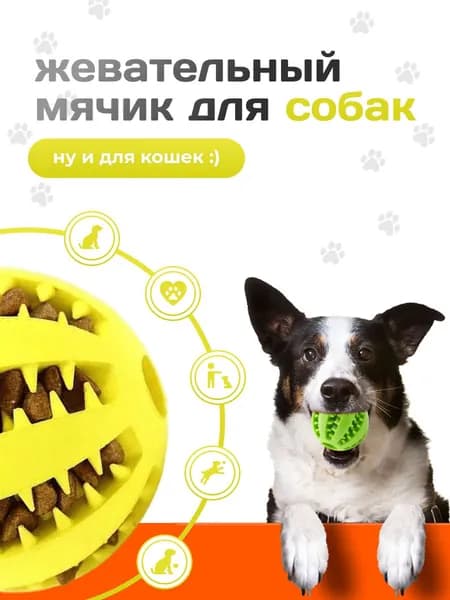 Жевательный мячик для собак и кошек, игрушка для животных
