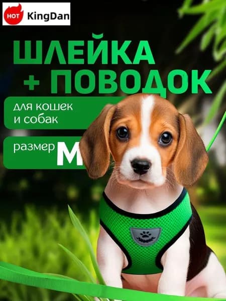 Шлейка