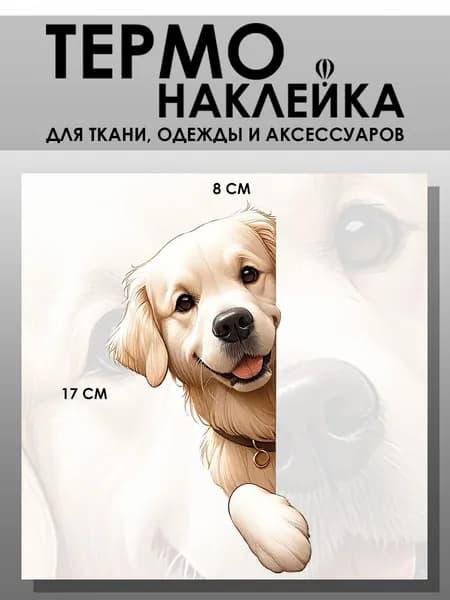 Термонаклейка для одежды. Заплатка - Собака лабрадор