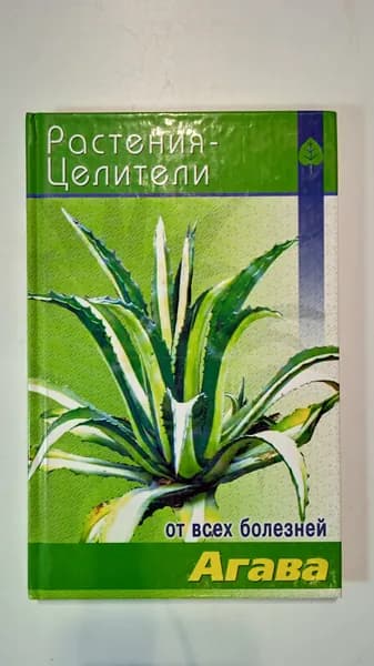 Агава | Павлов А. С.