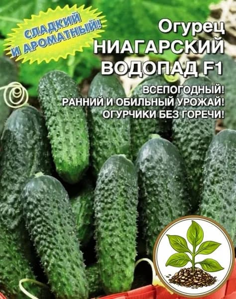 Семена коллекционные огурца Ниагарский Водопад F1