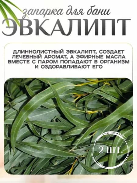 Запарка для бани
