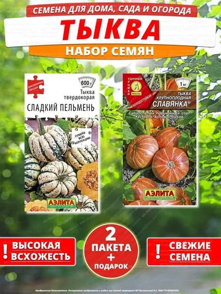 Семена тыква для дома сада посадки
