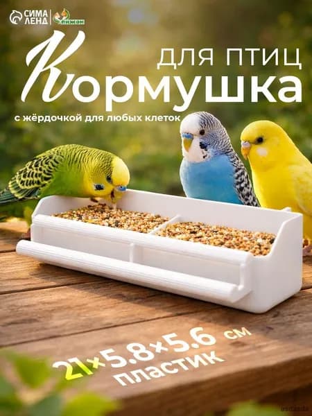 Кормушка для птиц и грызунов, 21x5,8x5,6 см, с жёрдочкой, для любых клеток, белая