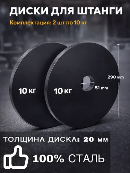 Диски для штанги, 10 кг, диаметр диска: 29 см