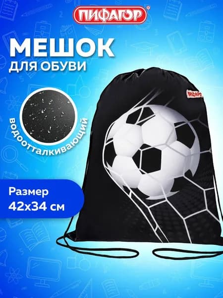 Мешок для обуви Пифагор, 1 отделение, 42х34 см, Ball kick