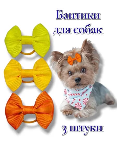 Бантики для собак