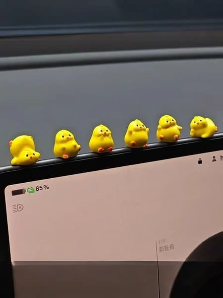 Украшение автомобиля