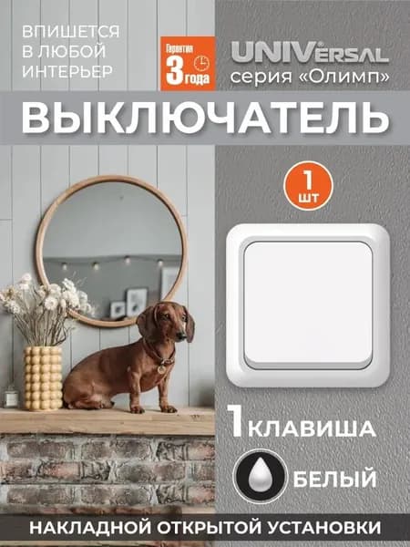 Выключатель одноклавишный "UNIVersal" серия "Олимп",открытой установки, 10А, 220В, белый