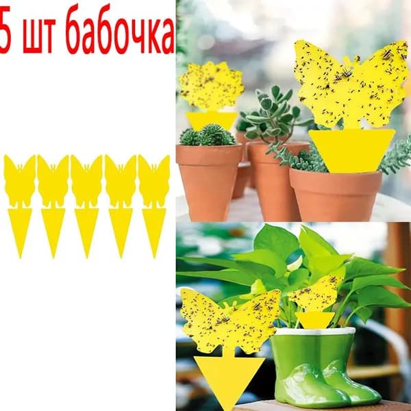 Ловушка для садовых вредителей