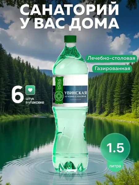 ВОДА Лечебно Столовая Газированная 1,6 л *6 шт Минеральная в Новом году!