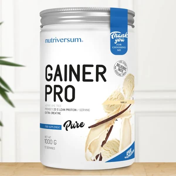 Гейнер Gainer Pro Nutriversum 1000 гр (ваниль)