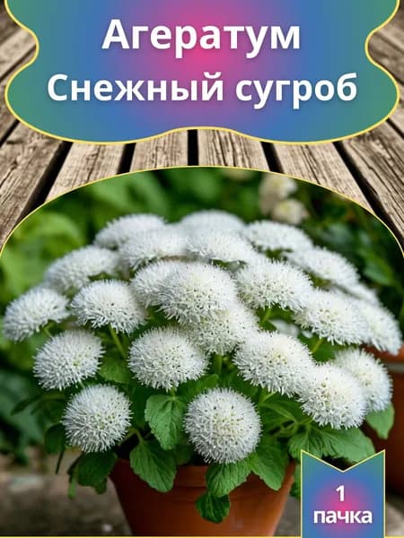 Агератум Снежный сугроб семена 10 шт
