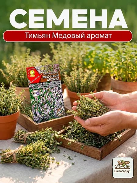 Семена Тимьян овощной Медовый аромат, для подоконника / Аэлита