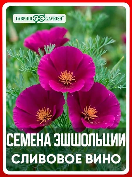 Семена Эшшольция "Сливовое вино" 0,2 гр, однолетние цветы для дачи, сада и огорода, клумбы, в открытый грунт, на балкон, в ящик.