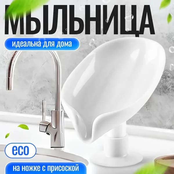Мыльница