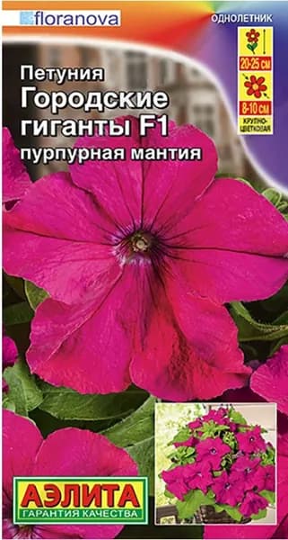 Семена Петуния Городские Гиганты Пурпурная Мантия F1 (7шт) - Аэлита