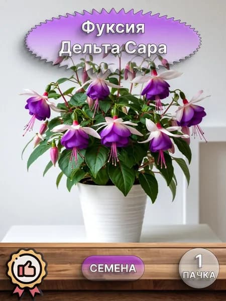 Фуксия Дельта Сара (семена)