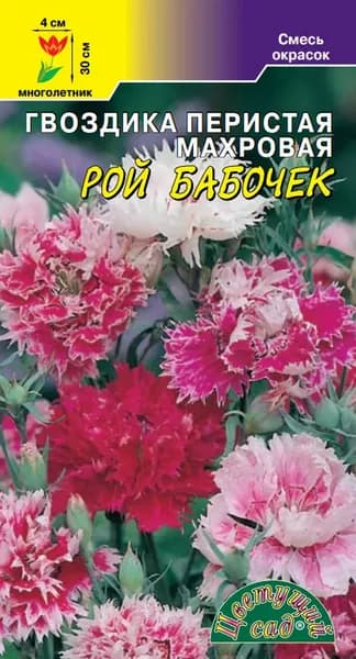 Семена цветов Гвоздика перистая махровая Рой бабочек (Цветущий сад), 0,05 г