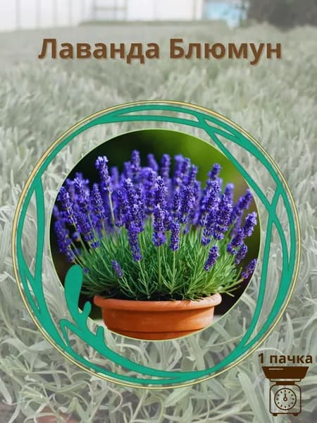 Лаванда "Блюмyн" 10 шт. семян