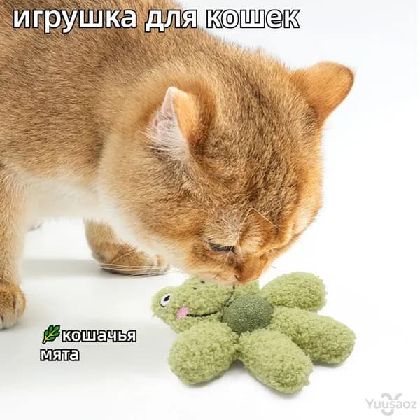 Игрушка для кошек с шариком из кошачьей мяты, жевательная игрушка-антистресс для развлечения питомца