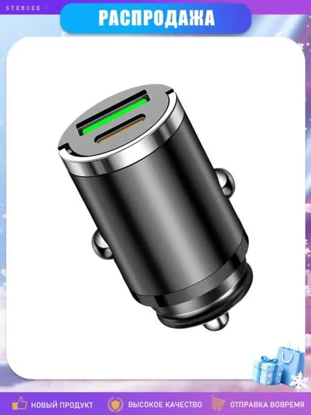 Быстрое автомобильное зарядное устройство 100W с двумя портами