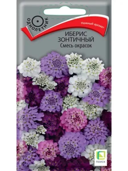 Семена Иберис сорт Микс окрасок
