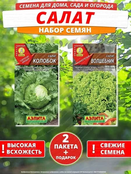 Семена салат для дома сада посадки