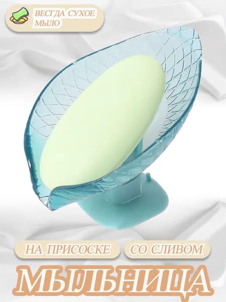 Мыльница