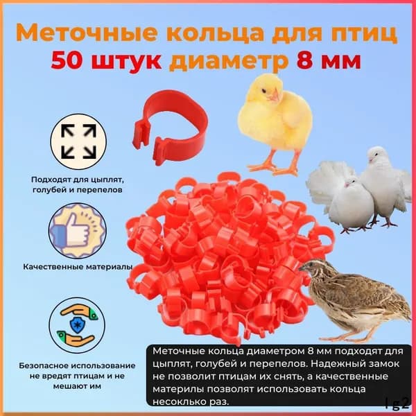 Кольцо качественное, птичье