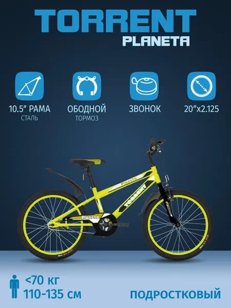 Детский велосипед TORRENT Planeta (дорожный, 1 скорость, рама сталь, колеса 20")