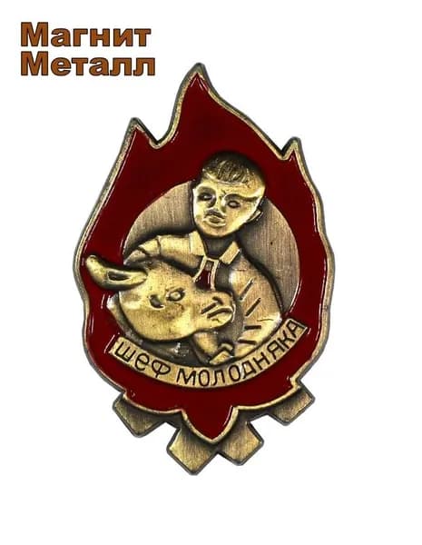 Копия знака "Шеф молодняка"/На магнитной основе/45х28 мм