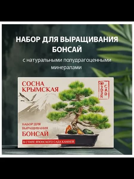 Фудзи сад Подарочный набор для выращивания Вырасти Бонсай