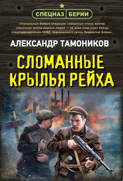 Книга Сломанные крылья рейха