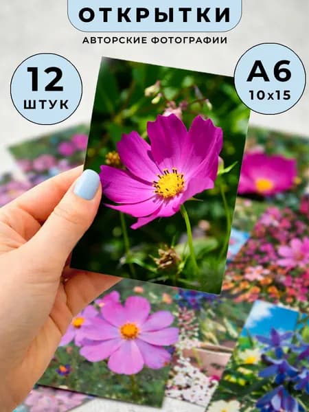 Набор открыток с цветами 12 шт A6 (10 x 15 см) фиолетовые