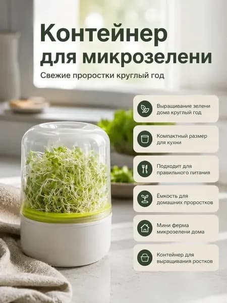 Контейнер для проращивания семян и микрозелени дома
