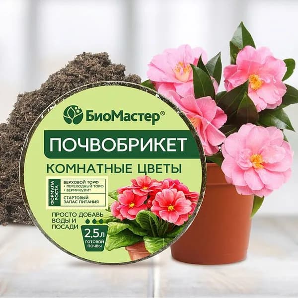 Биомастер Почвобрикет для комнатных растений 2.5 л
