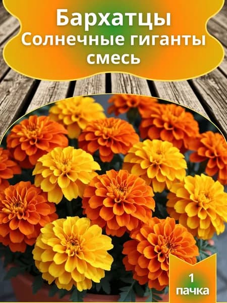 Бархатцы прямостоячие "Солнечные гиганты" густомахровые смесь Тагетес (семена)